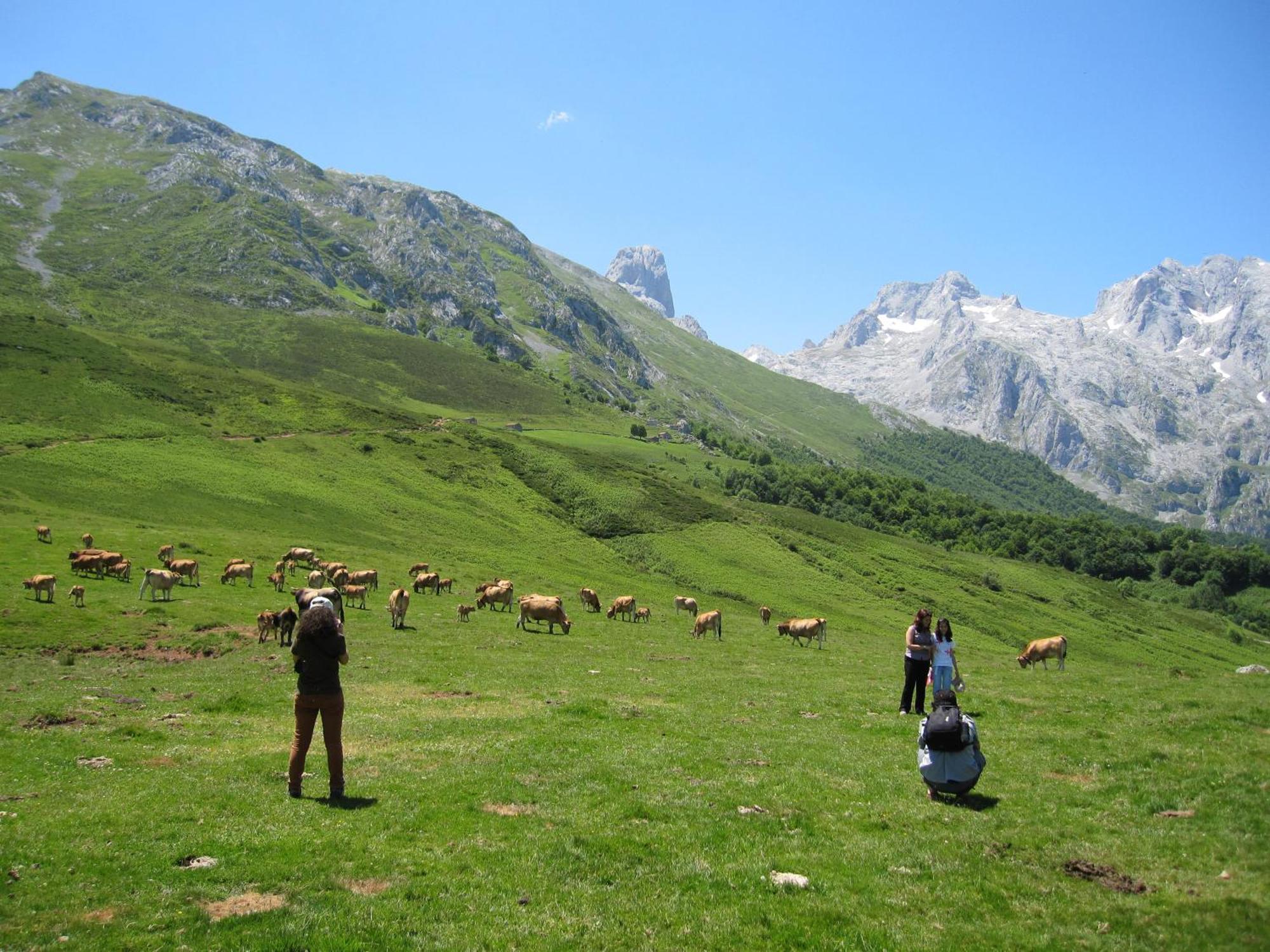 פוטס Hosteria Picos De Europa מראה חיצוני תמונה